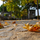 Fallen