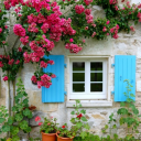 Cottage Place